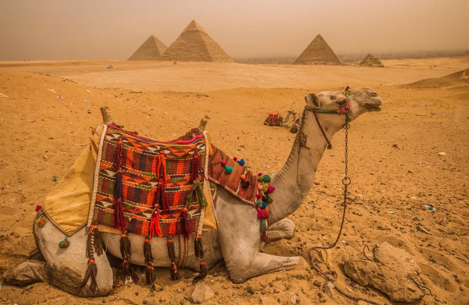 Camel ride from the pyramids