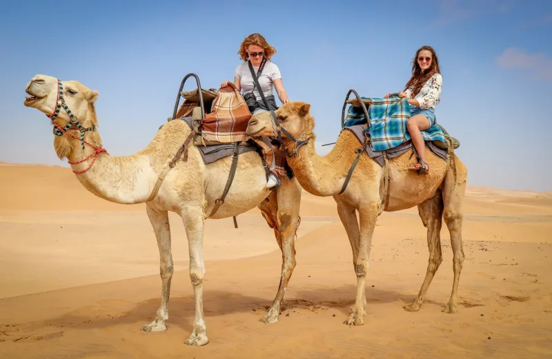 Sharm El Sheikh is an Egyptian city on the southern tip of the Sinai Peninsula