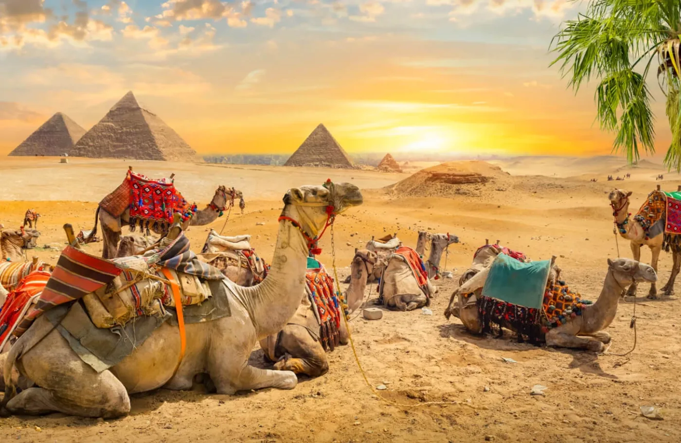 Ancient Wonders of The world