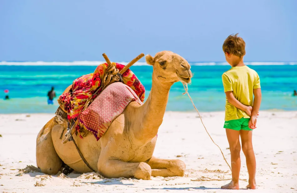the largest city and capital of the Red Sea Governorate of Egypt