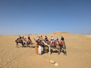 Sunset camel ride at the Pyramids of Giza