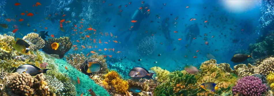 7-Day Red Sea tour package to Cairo and Sharm El-Sheikh