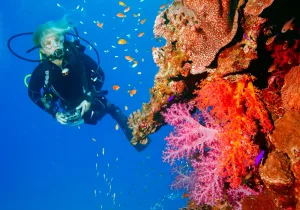 7-Day Red Sea tour package to Cairo and Sharm El-Sheikh