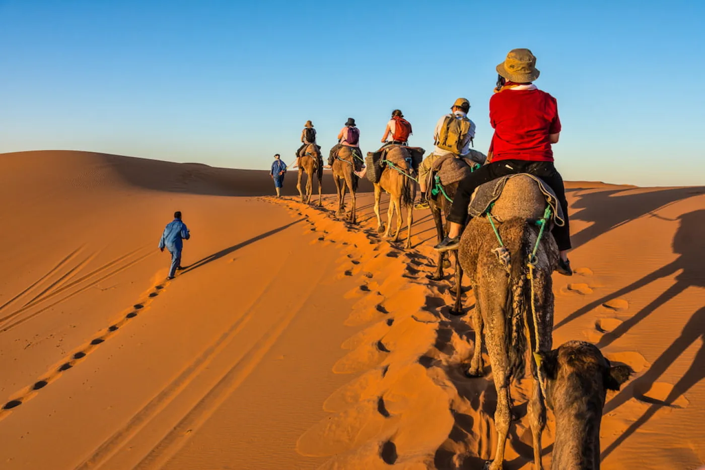 Explore the desert the traditional way – on camel back