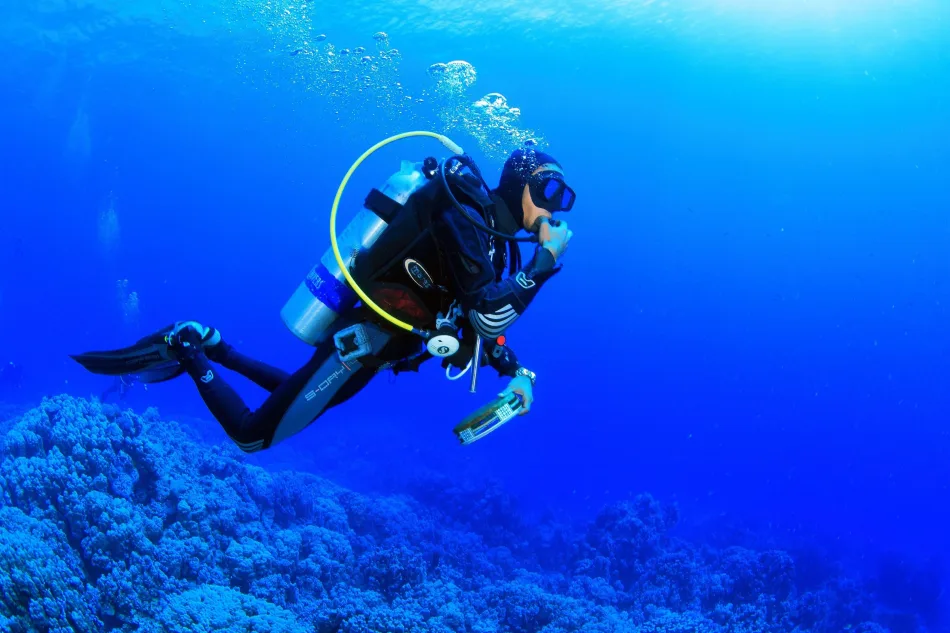 7-Day Red Sea holiday package to Cairo, Luxor and Hurghada
