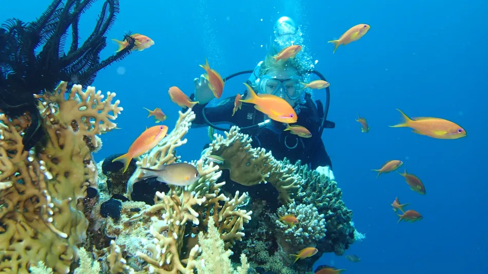 6-Day Red Sea tour package to Cairo and Hurghada
