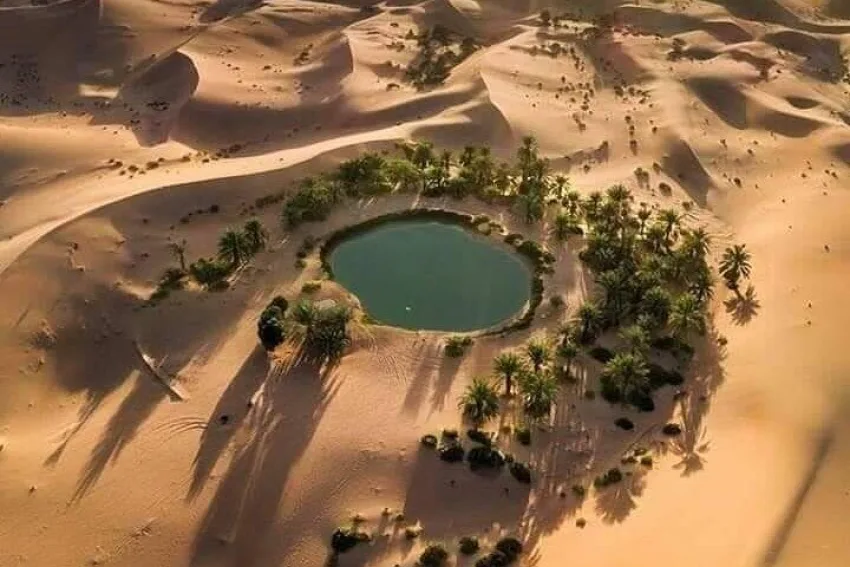 Best activities and things to do in Bahariya Oasis