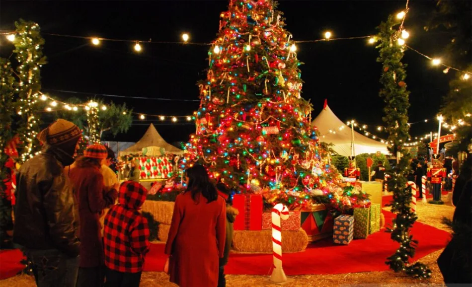 5-Day Christmas Nile Cruise Egypt 2025-2026