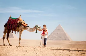 Sunset camel ride at the Pyramids of Giza