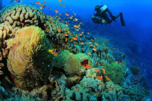 10-Day Egypt Christmas Tour Package | Pyramids, Nile Cruise & Red Sea