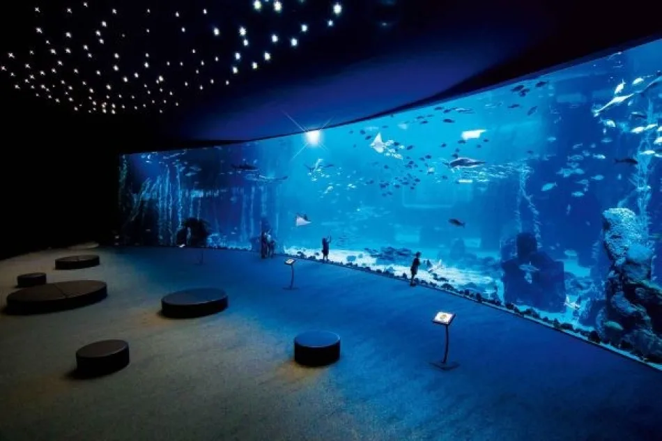 Grand Aquarium day tour from hurghada