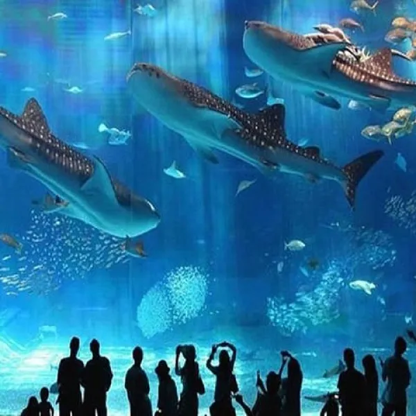 Hurghada Grand Aquarium