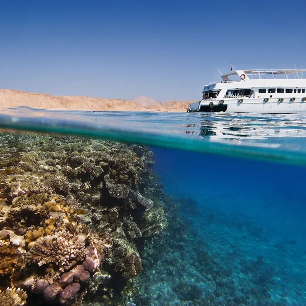 Tiran Island