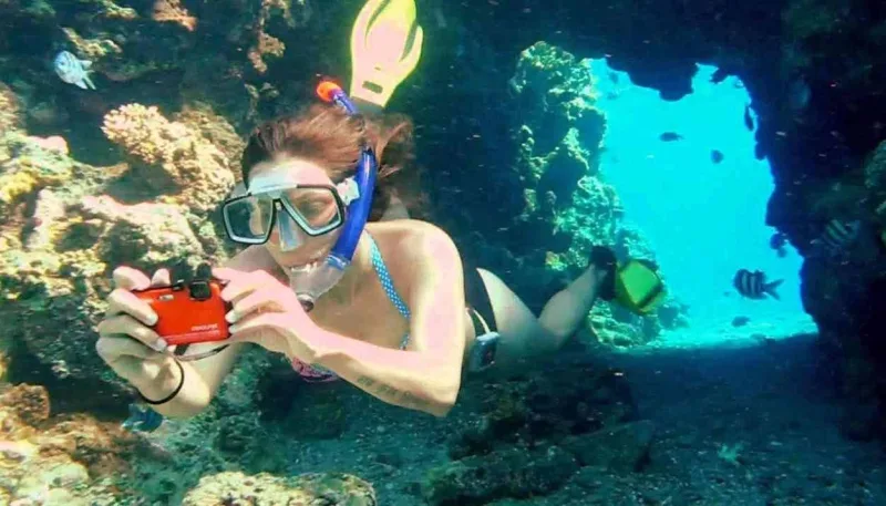 Sea life near Mahmya Island explored on Hurghada boat tour