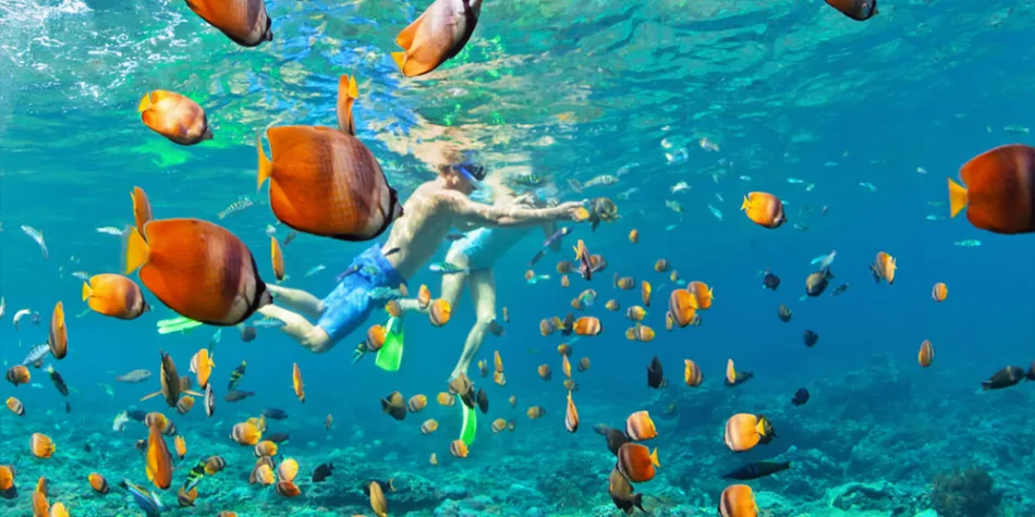 Snorkeling at Mahmya Island from Hurghada