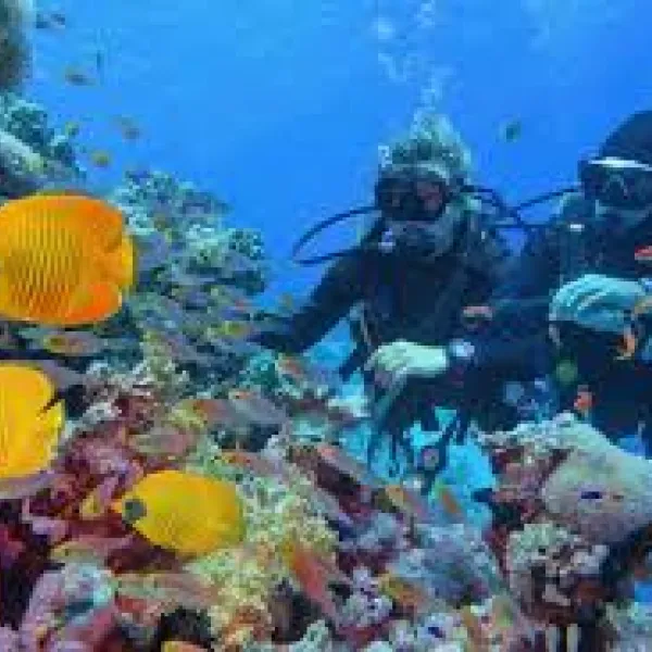 Scuba diving Sharm El Sheikh