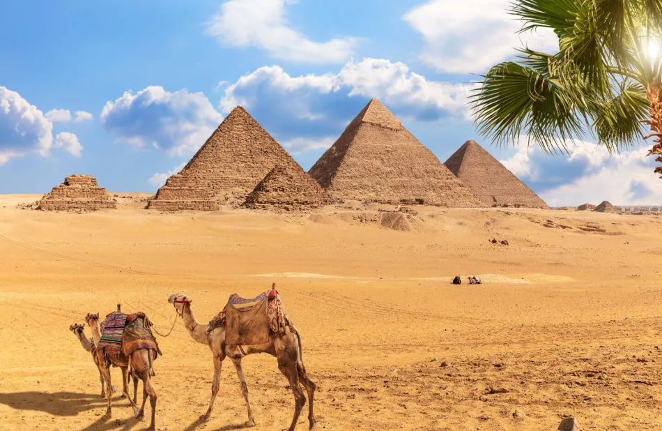 Cairo Day Tour to Giza Pyramids & Grand Egyptian Museum