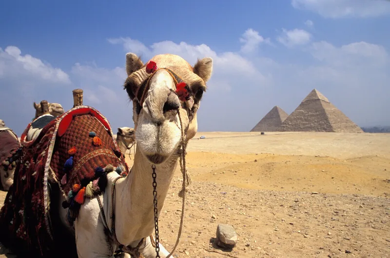 Adventure Travel