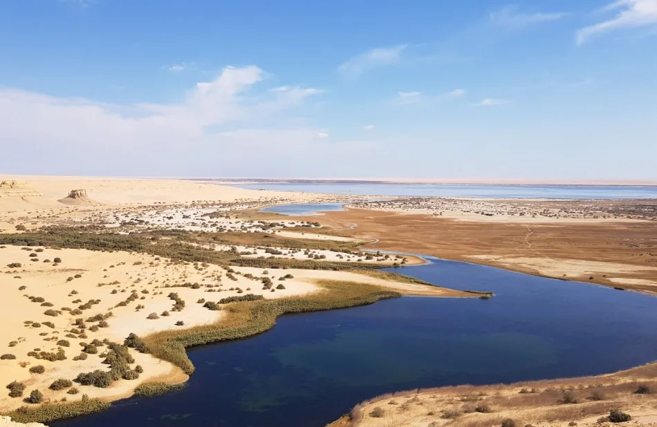 Cairo day tour to Fayoum