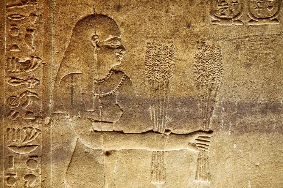 Day Tour to Edfu and Kom Ombo from Luxor