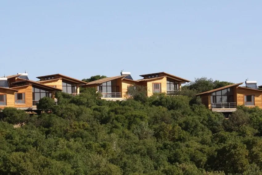 Discover Ajloun Forest Reserve