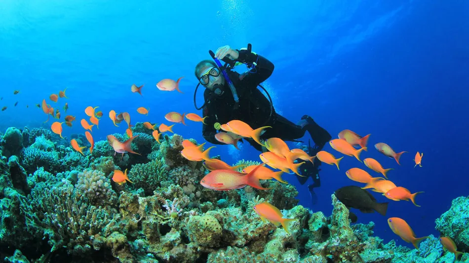 Snorkeling Adventure to Giftun Island from Hurghada Port