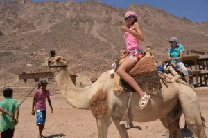 Pyramids and Sphinx tour from Alexandria