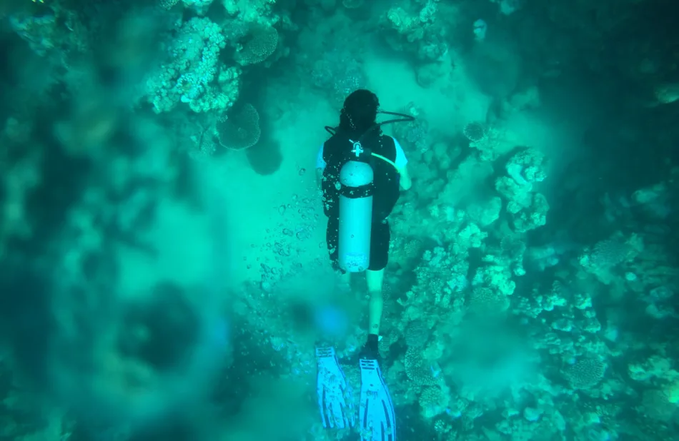 Explore The Best Dive Sites