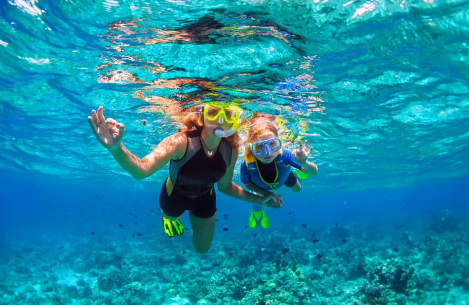 Best Snorkeling Destinations in the Red Sea