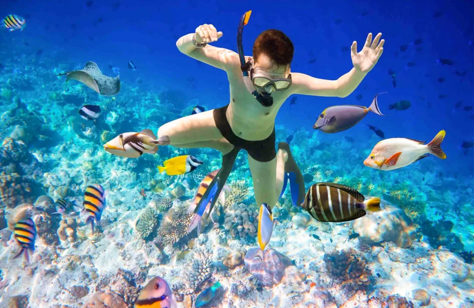 Best Snorkeling Destinations in the Red Sea
