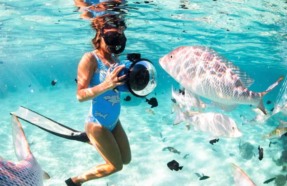 Scuba Diving in Egypt: The Best Dive Sites to Explore