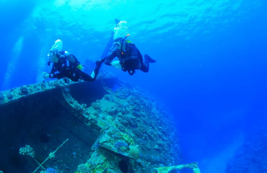Discover diving in Egypt and the beauty of the seabed and coral reefs